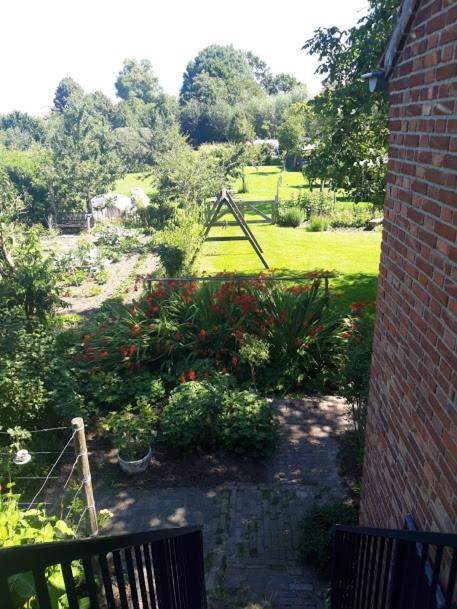 Studio Nok Bij Den Bosch Den Dungen المظهر الخارجي الصورة